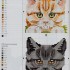 Схема вышивки кошек